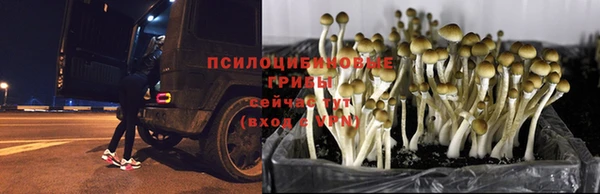 гашишное масло Гусиноозёрск