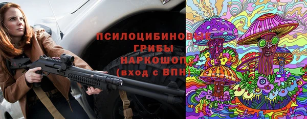 a pvp Гусев