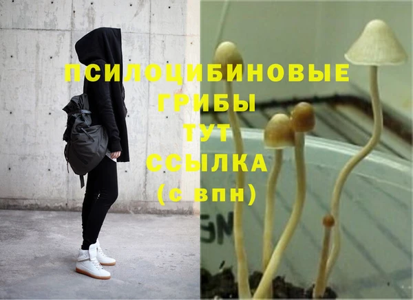 гашишное масло Гусиноозёрск