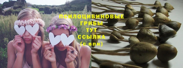 меф Гусь-Хрустальный